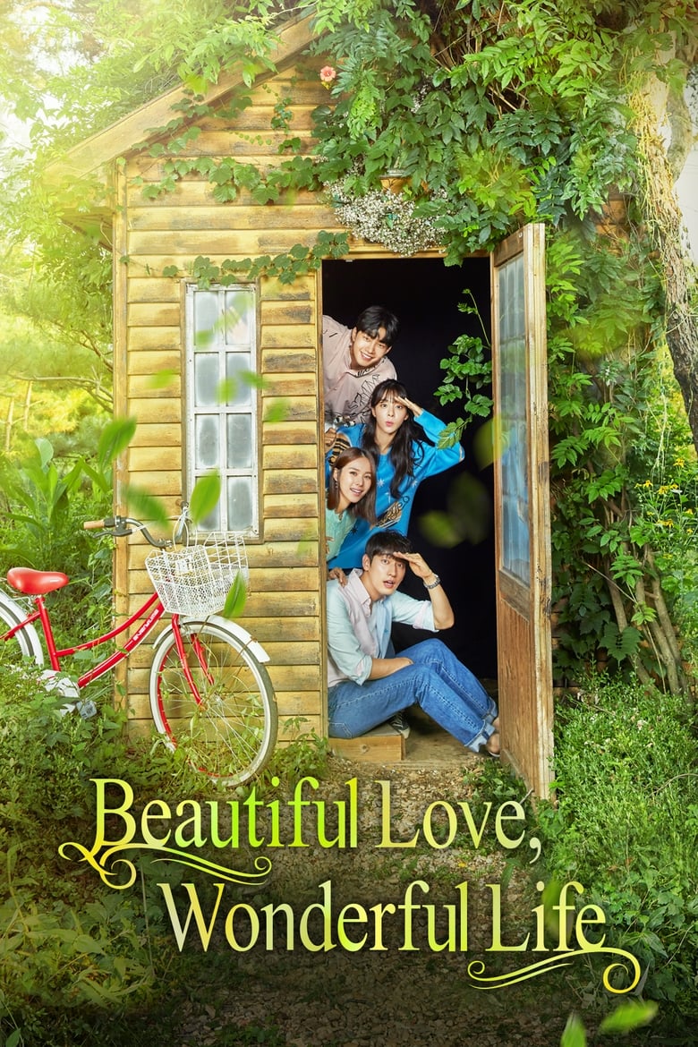 Beautiful Love, Wonderful Life (2019)